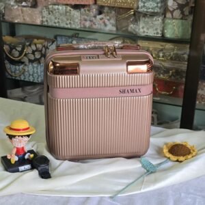 vanity bag